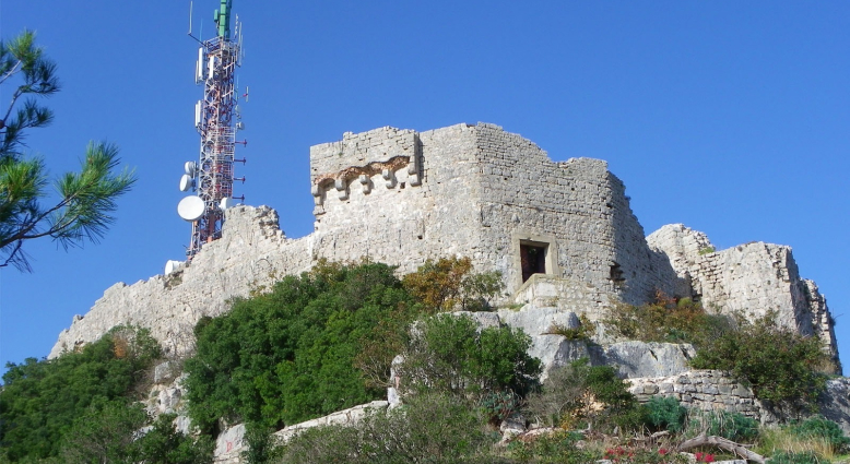 Udica